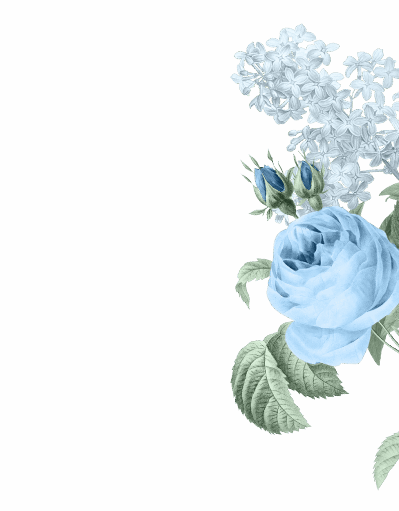 IMG 0866.png