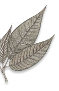 Luxee Java 2 11.png