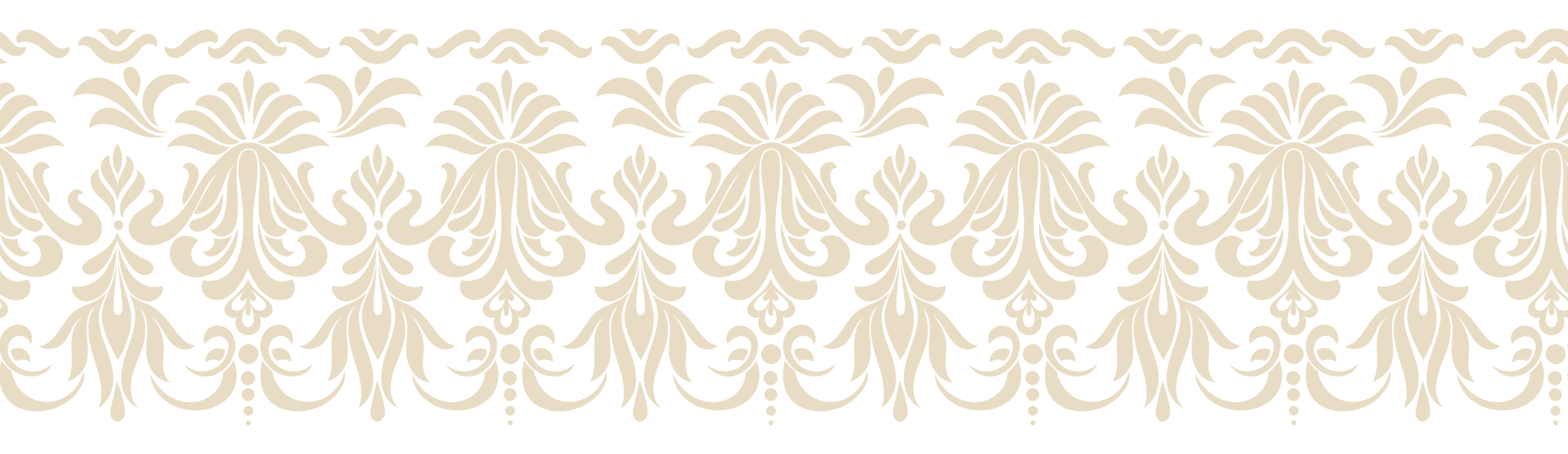 Backg png 1 e1670777116300.png