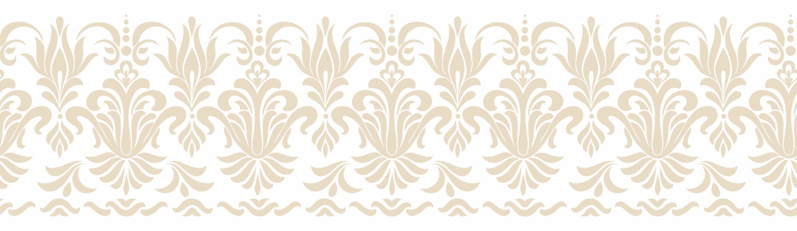 Backg png.png